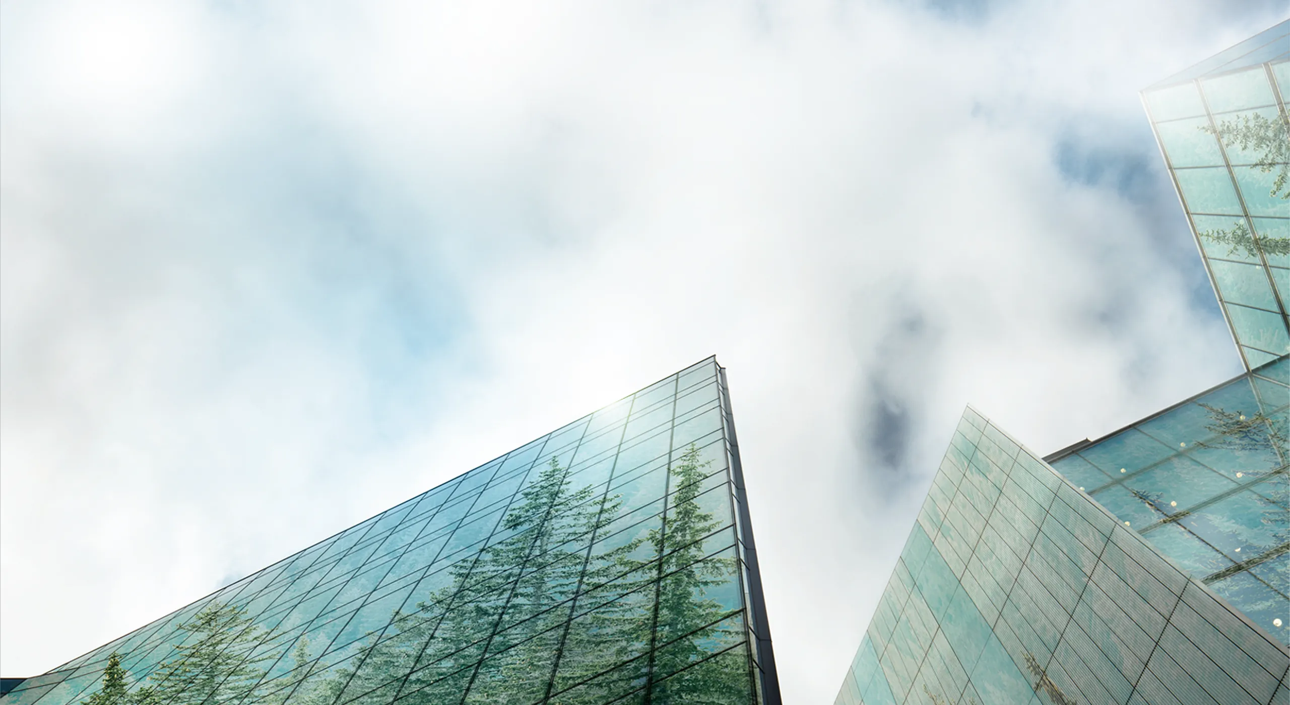 Glass office towers reflecting trees