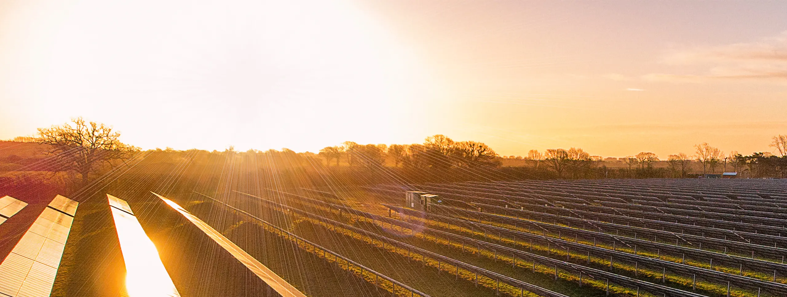 Sunrise over rows of solar panels
